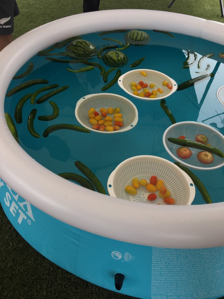 1C9A93D3-6DCD-4433-B772-19C671515233