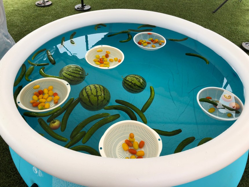 DF1605B5-D31E-4FB0-97AB-AC143E73ACE5